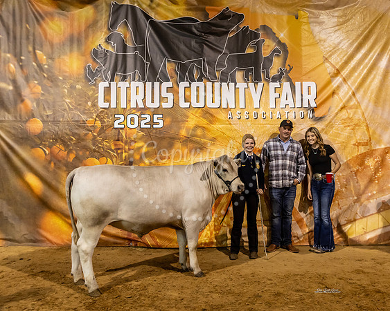 Steers #48