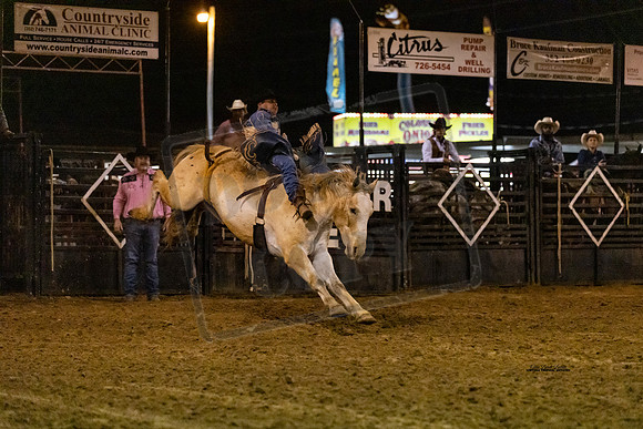 BRONC2