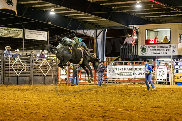 BRONC1