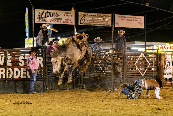 BRONC7