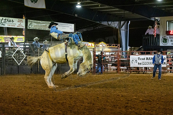 BRONC3