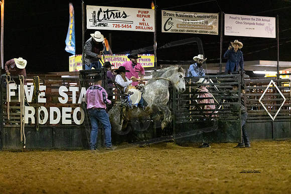BRONC6