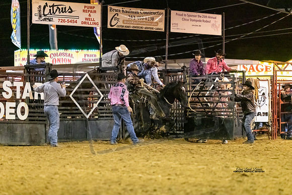 BRONC8