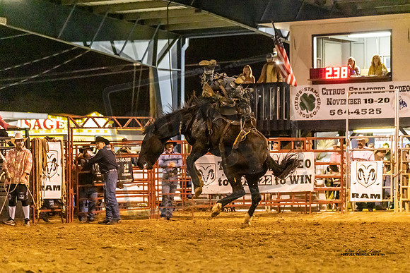 BRONC9