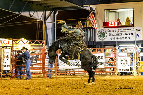 BRONC10
