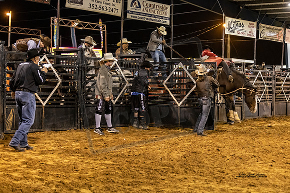 BRONC11
