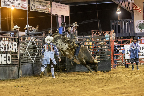 BULLS1