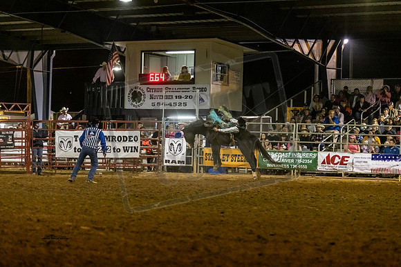BRONC12