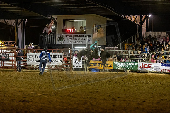 BRONC13