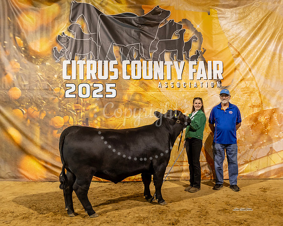 Steers #33