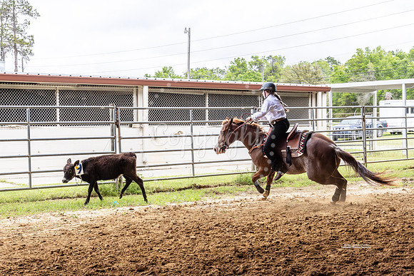 #3 Horses