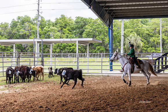 #2 Horses