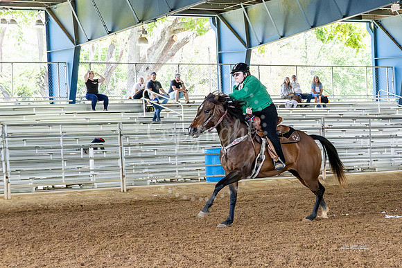 #7 Horses