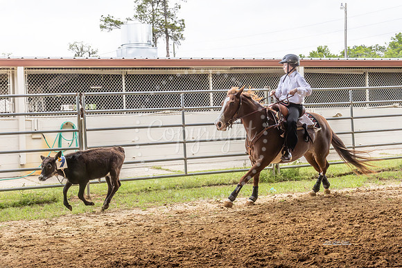 #4 Horses
