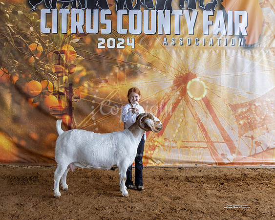 PeeWee Showmanship