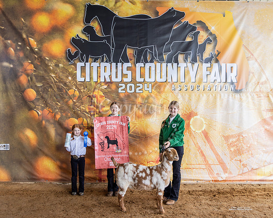Int Showmanship #2