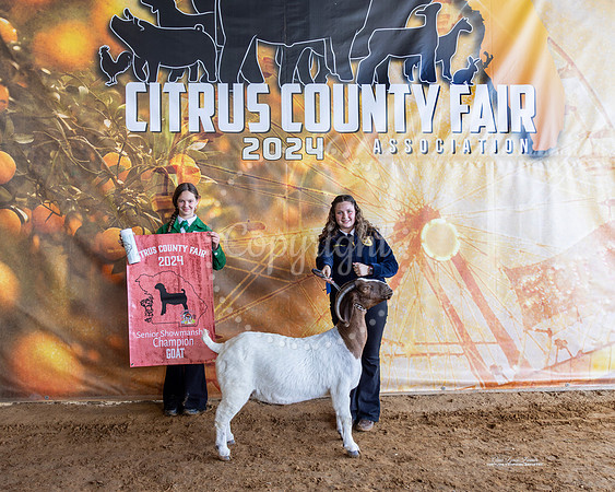 Sr Showmanship