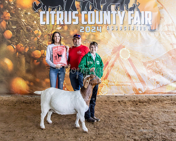 Class 6 Yearling Breeding Doe
