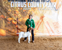 Class 4 RGC Jr Breeding Doe Champion Dr