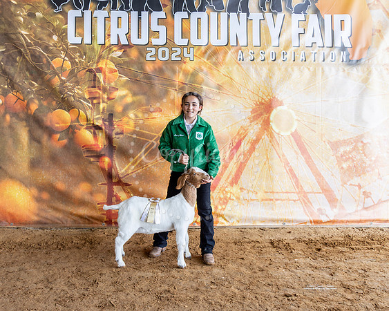 Class 4 RGC Jr Breeding Doe Champion Dr