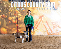 Class 4 Dairy Goat RGC