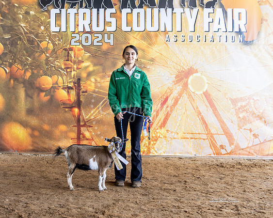 Class 4 Dairy Goat RGC