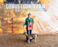 Class 2 Dairy Goat
