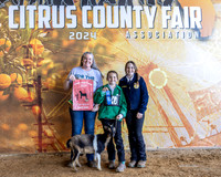 Class 1 Dairy Goat