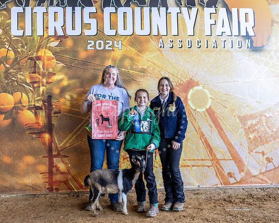 Class 1 Dairy Goat