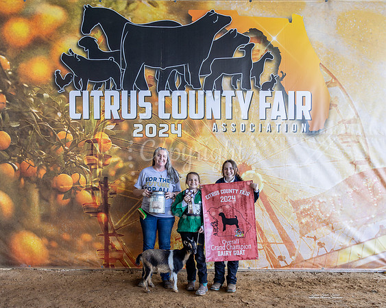 Class 4 Dairy Goat GC