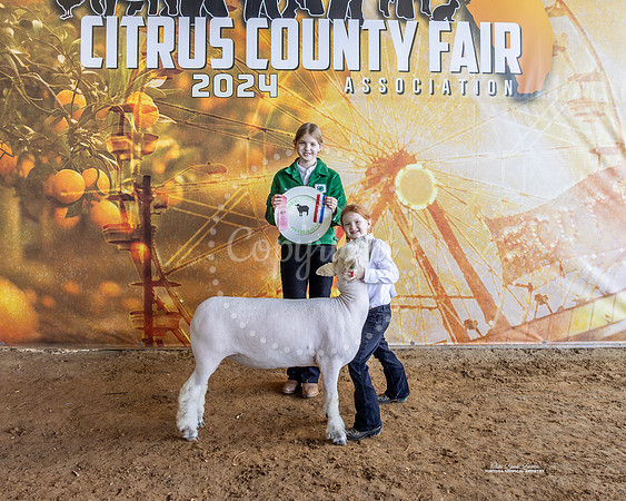 Pee Wee Showmanship