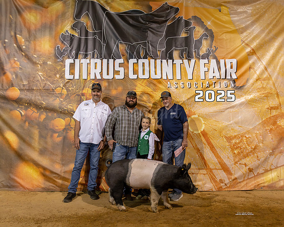 #152 Swine