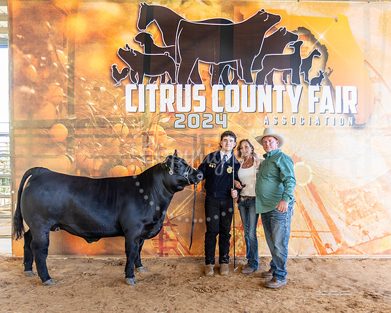 #1 GC Steer