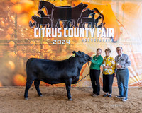 #4 GC Carcass Steer #2 photo