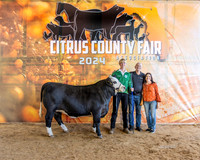Steer Auction