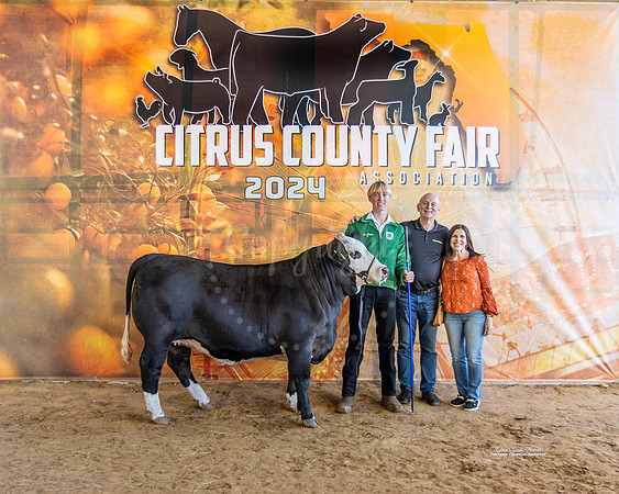 #3 GC County Bred Steer