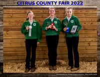 Sr Rabbit Showmanship