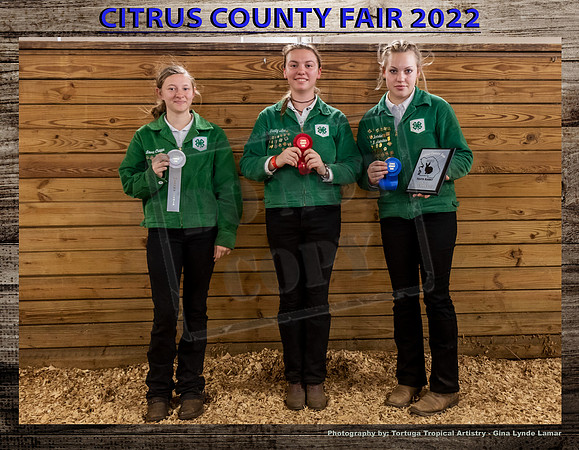 Sr Rabbit Showmanship