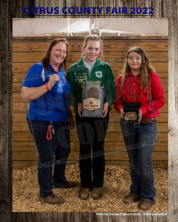 Pen of Meat Rabbit Grand Champion