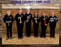 Int Rabbit Showmanship
