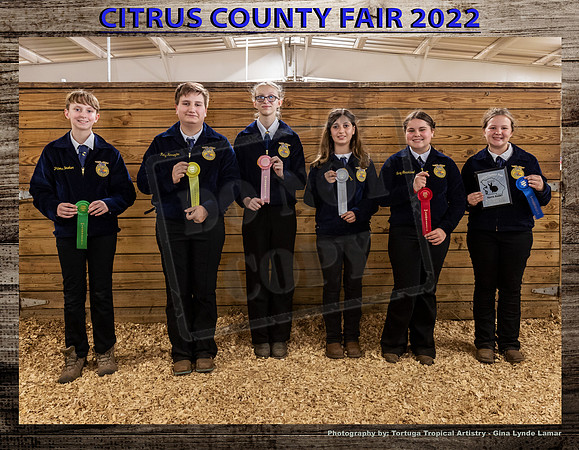 Int Rabbit Showmanship