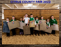 Rabbit Show & Showmanship