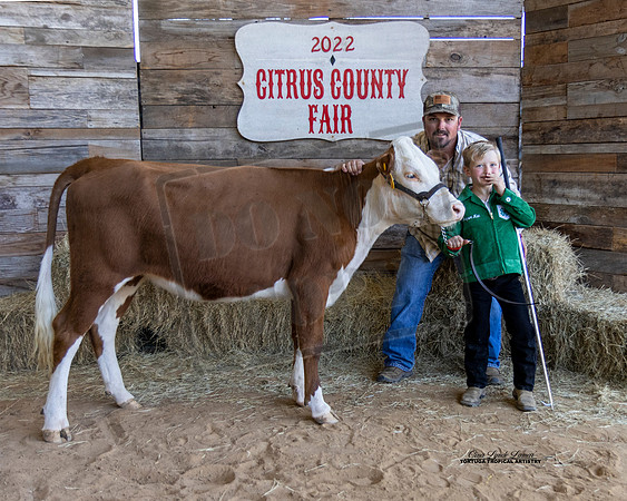 Pee Wee Beef Showmanship 7