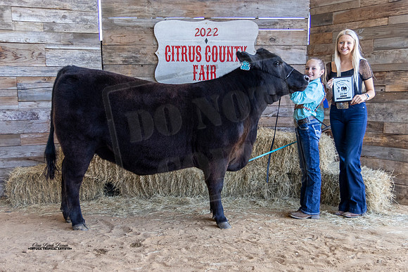 Jr Open Beef Showmanship