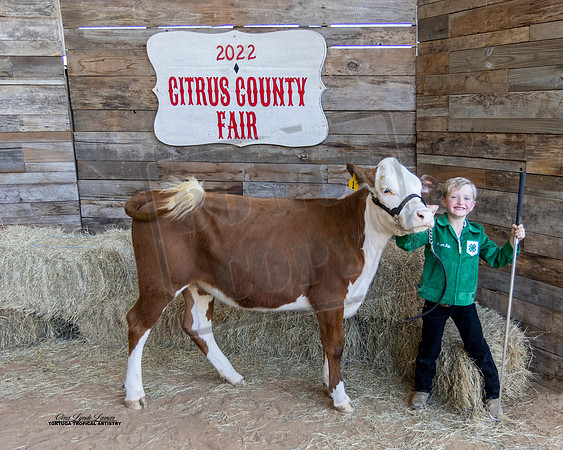 Pee Wee Beef Showmanship 6
