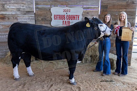 OBS Reserve Grand Champion Bull