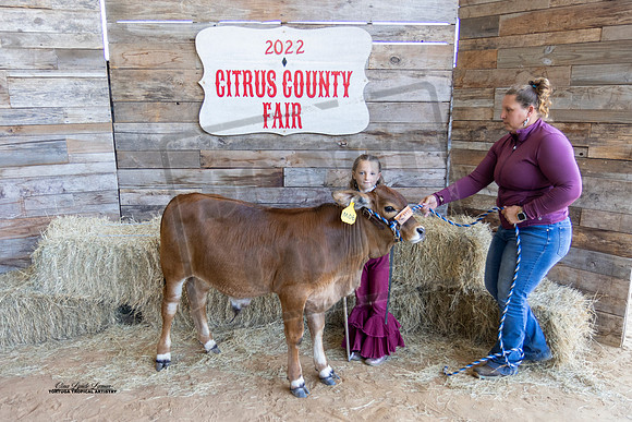 Pee Wee Beef Showmanship 1