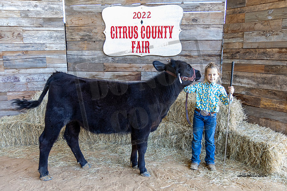 Pee Wee Beef Showmanship 2