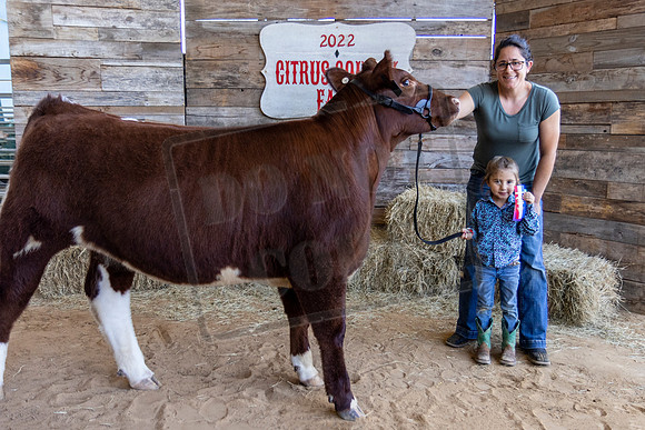 Pee Wee Beef Showmanship 3