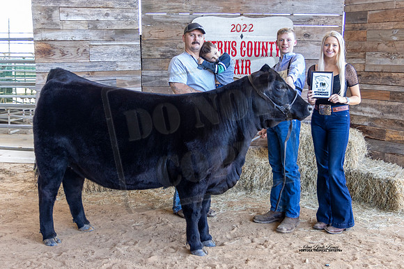 Int Open Beef Showmanship
